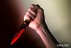 В Екатеринбурге задержан школьник, подозреваемый в убийстве семьи. Он сбежал из Перми