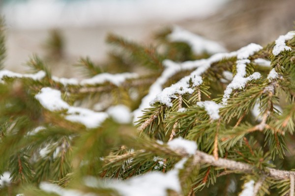 В выходные в Екатеринбурге похолодает