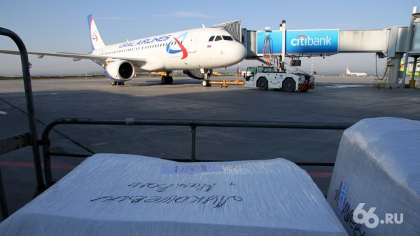 Авиакомпании получили допуск на полеты из Кольцово в Болгарию, Израиль и Черногорию Авиакомпании получили допуск на полеты из Кольцово в Болгарию, Израиль и Черногорию