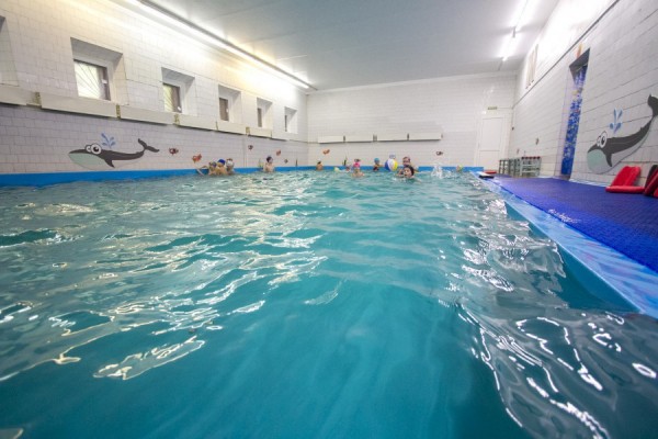 Где можно заняться плаванием? Путеводитель по бассейнам Где можно заняться плаванием? Путеводитель по бассейнам