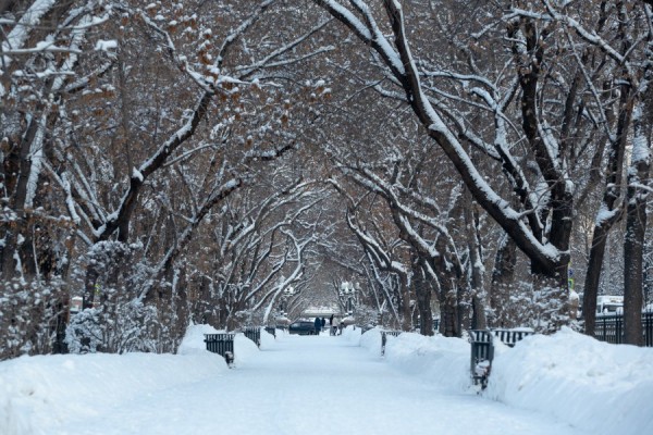Погода в Екатеринбурге на среду: снег и порывистый ветер