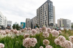 Глава Екатеринбурга оценил ход строительства социальных объектов в Солнечном Глава Екатеринбурга оценил ход строительства социальных объектов в Солнечном