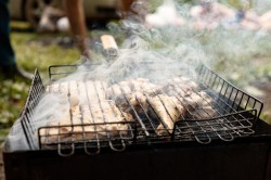 Два штрафа и предупреждение: спасатели проинспектировали отдых горожан на водоёмах Два штрафа и предупреждение: спасатели проинспектировали отдых горожан на водоёмах