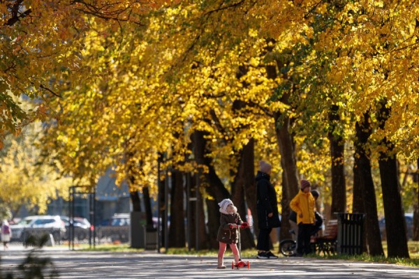 Спорт, прогулки и витамины: что ещё помогает поднять иммунитет осенью? Спорт, прогулки и витамины: что ещё помогает поднять иммунитет осенью?