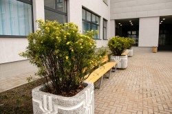 Юные екатеринбуржцы, проживающие в центре, получили новое школьное здание