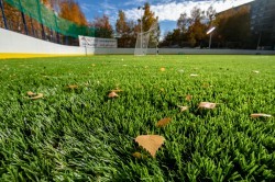 «Спорт в каждый двор»: 7 современных площадок появятся в Екатеринбурге «Спорт в каждый двор»: 7 современных площадок появятся в Екатеринбурге