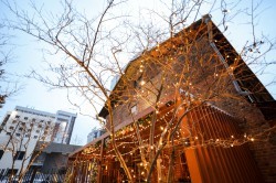 Гирлянды, шары и зоны для сэлфи. Как Екатеринбург украшен к Новому году?