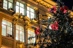 Ели у ратуши Екатеринбурга стали частью ансамбля новогоднего городка Ели у ратуши Екатеринбурга стали частью ансамбля новогоднего городка