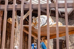 Алексей Шмыков и Алексей Орлов посетили зоопарк и заложили новогоднюю традицию