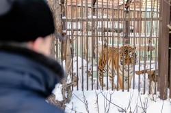 Алексей Шмыков и Алексей Орлов посетили зоопарк и заложили новогоднюю традицию