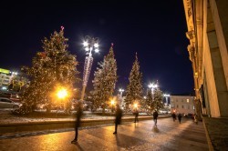 Ели у ратуши Екатеринбурга стали частью ансамбля новогоднего городка Ели у ратуши Екатеринбурга стали частью ансамбля новогоднего городка