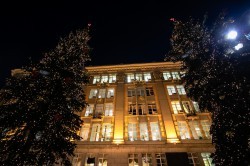 Ели у ратуши Екатеринбурга стали частью ансамбля новогоднего городка Ели у ратуши Екатеринбурга стали частью ансамбля новогоднего городка