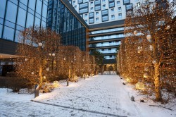 Гирлянды, шары и зоны для сэлфи. Как Екатеринбург украшен к Новому году?