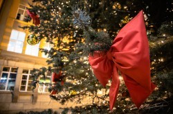 Ели у ратуши Екатеринбурга стали частью ансамбля новогоднего городка Ели у ратуши Екатеринбурга стали частью ансамбля новогоднего городка