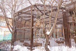 Алексей Шмыков и Алексей Орлов посетили зоопарк и заложили новогоднюю традицию