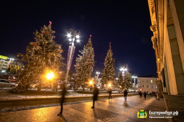 Ели у ратуши Екатеринбурга стали частью ансамбля новогоднего городка Ели у ратуши Екатеринбурга стали частью ансамбля новогоднего городка