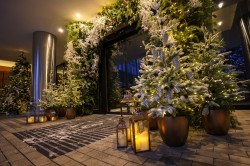 Гирлянды, шары и зоны для сэлфи. Как Екатеринбург украшен к Новому году?