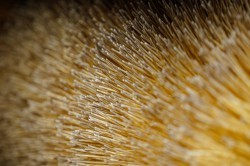 Обновлённые КАМАЗы пополнили парк коммунальной техники уральской столицы