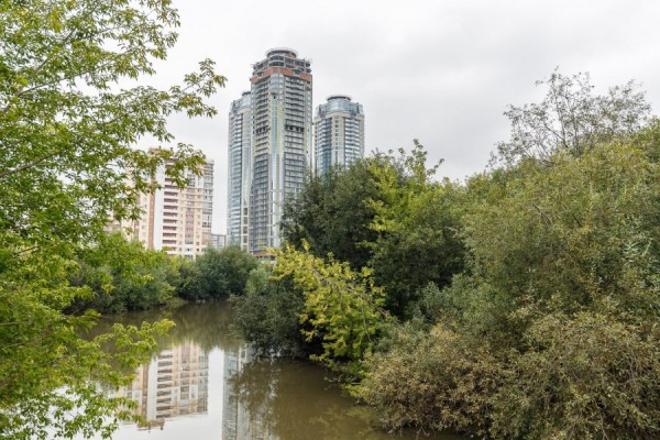 «Важно сохранить природу»: какой видят Исеть архитекторы Санкт-Петербурга?