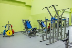 Алексей Орлов открыл новый корпус школы № 167 Алексей Орлов открыл новый корпус школы № 167