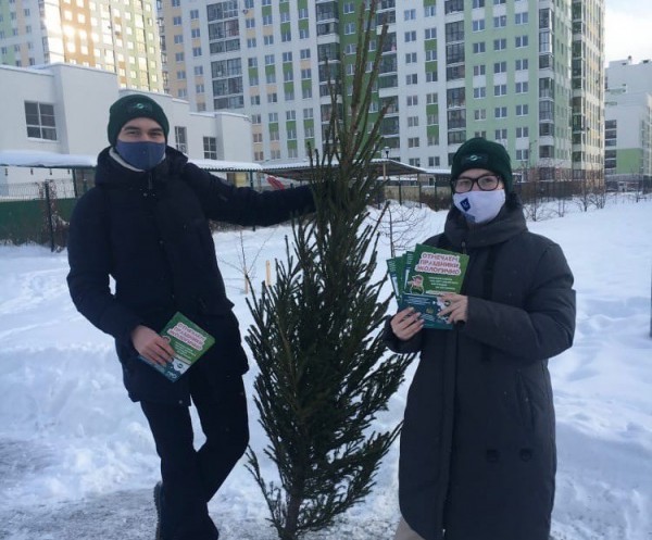 Актуальный вопрос: как правильно утилизировать новогоднюю ёлку? Актуальный вопрос: как правильно утилизировать новогоднюю ёлку?