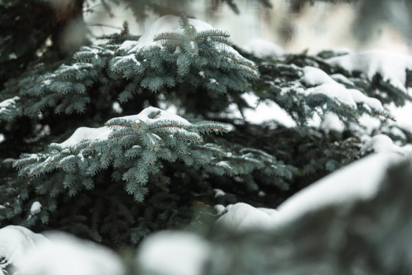 Синоптики дали прогноз погоды на первые рабочие дни 2022 года Синоптики дали прогноз погоды на первые рабочие дни 2022 года