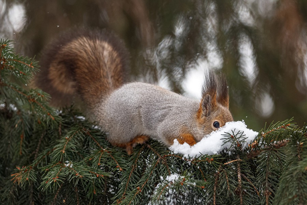 Уральские синоптики дали прогноз на новую неделю