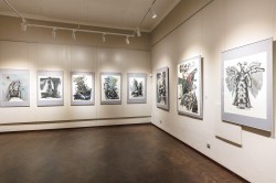 Коллекцию музея изобразительного искусства пополнили работы 35 художников Коллекцию музея изобразительного искусства пополнили работы 35 художников