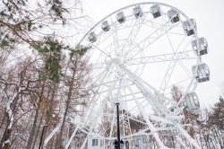 Алексей Орлов проконтролировал ход работ в ЦПКиО