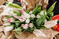 Цветочная ярмарка в центре Екатеринбурга всё-таки открылась