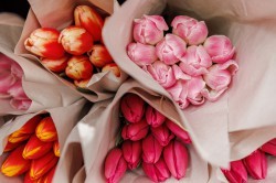 Цветочная ярмарка в центре Екатеринбурга всё-таки открылась