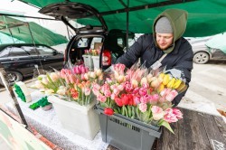 Цветочная ярмарка в центре Екатеринбурга всё-таки открылась