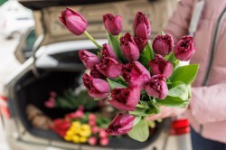 Цветочная ярмарка в центре Екатеринбурга всё-таки открылась