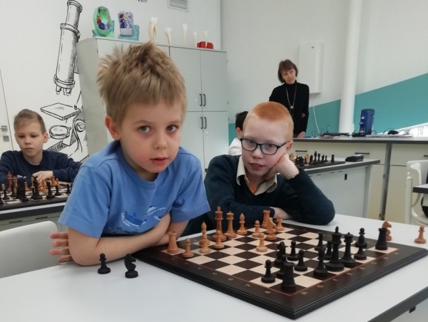 Проект «Шахматы в школах» повысит математические способности учеников Проект «Шахматы в школах» повысит математические способности учеников