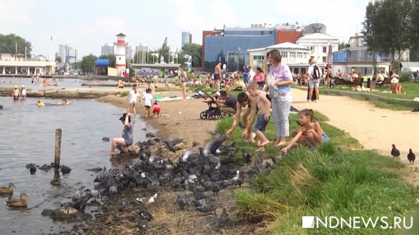 «Турция отдыхает», – чем занимаются люди на ВИЗе в жаркий день (ВИДЕО)